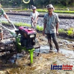 175eff0c-c8bc-4ede-9b3d-fab66f4468bd