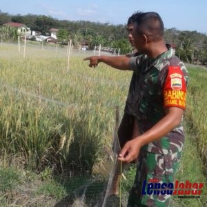 c7e2ea9a-0fbd-422f-b1bf-5f233bf34e87