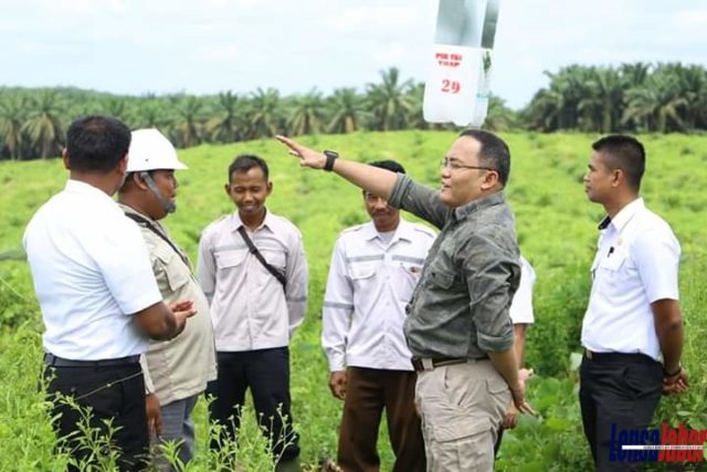 Sawit Rakyat