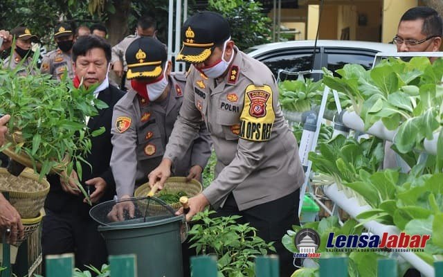 Sayuran Hyrdoponik, Polres Majalengka