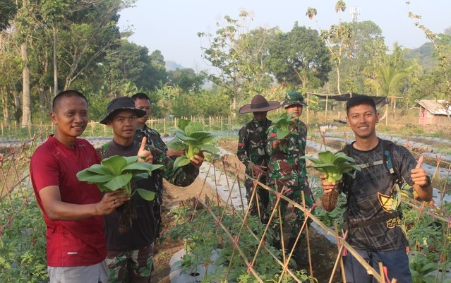 Yonif 301/Pks, Sumedang, Panen Sosin, Ketahanan Pangan, Urban Farming