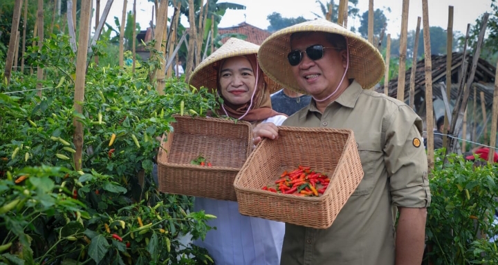 Dicky Saromi, Petani cabai, Kota Cimahi, Prestasi pertanian, Inisiatif pertanian