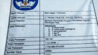 Oplus_131072